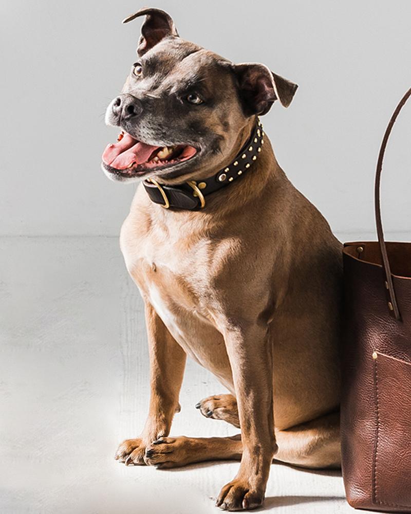 Snacks