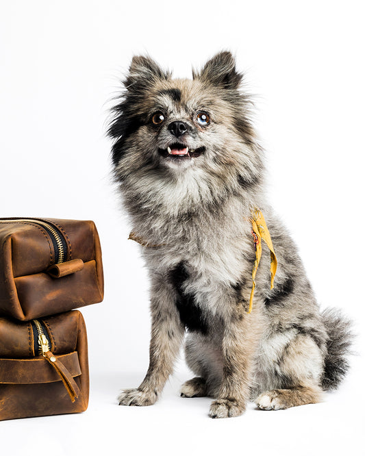 Ida