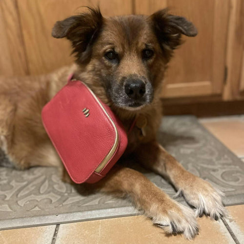 Perfect size! - customer review photo