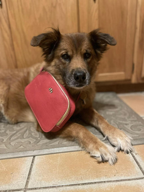 Perfect size! - customer review photo