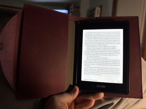 Perfect for my Kindle! - customer review photo