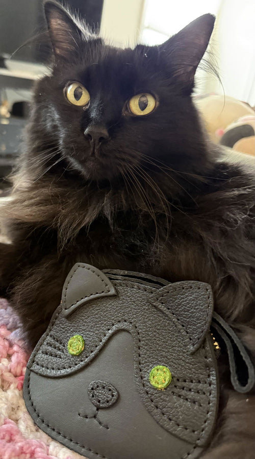 Kitten pouches - customer review photo