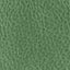 Eucalyptus