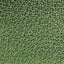 Metallic Greench